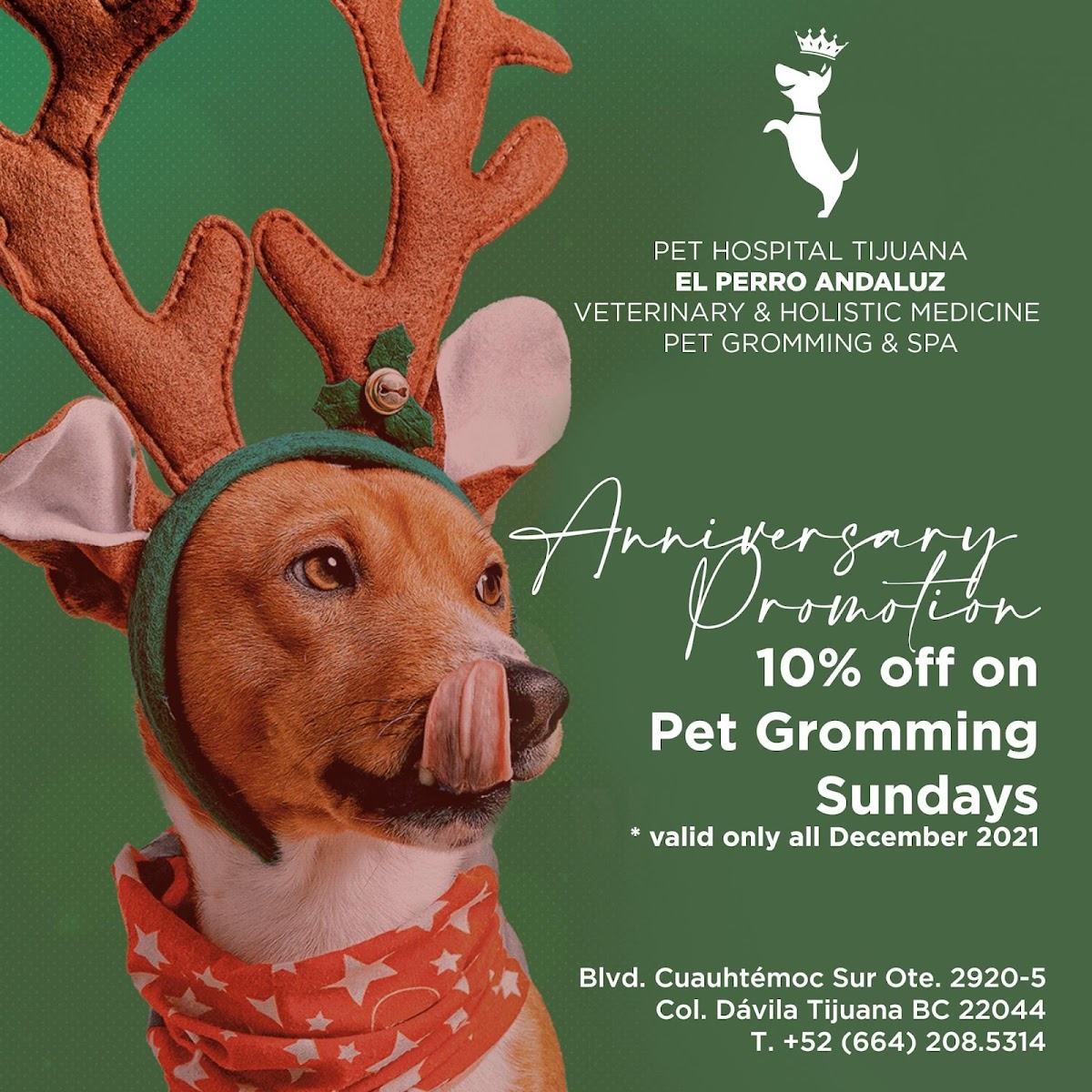 Perro Andaluz Hospital Veterinario (Pet Hospital) — foto 4