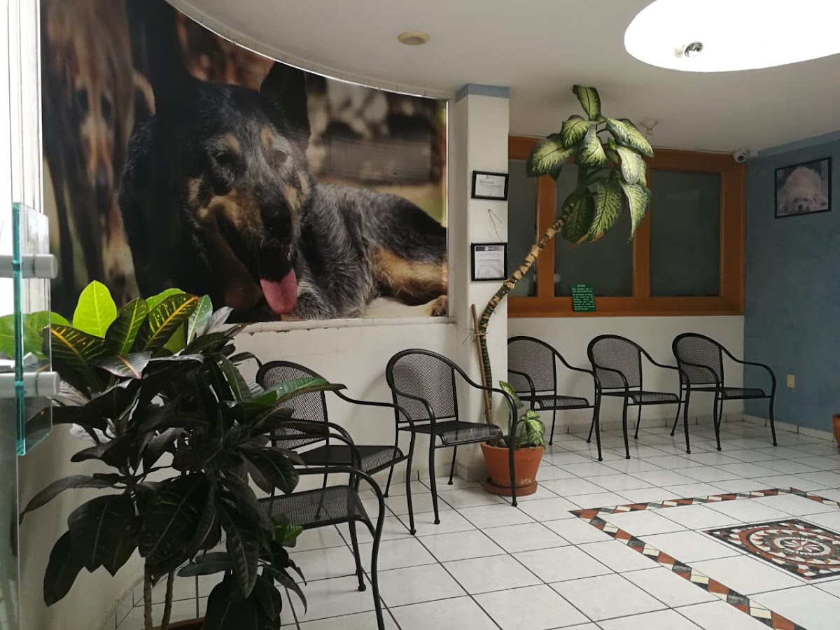 Robin Haus Suc Hidalgo — foto 4