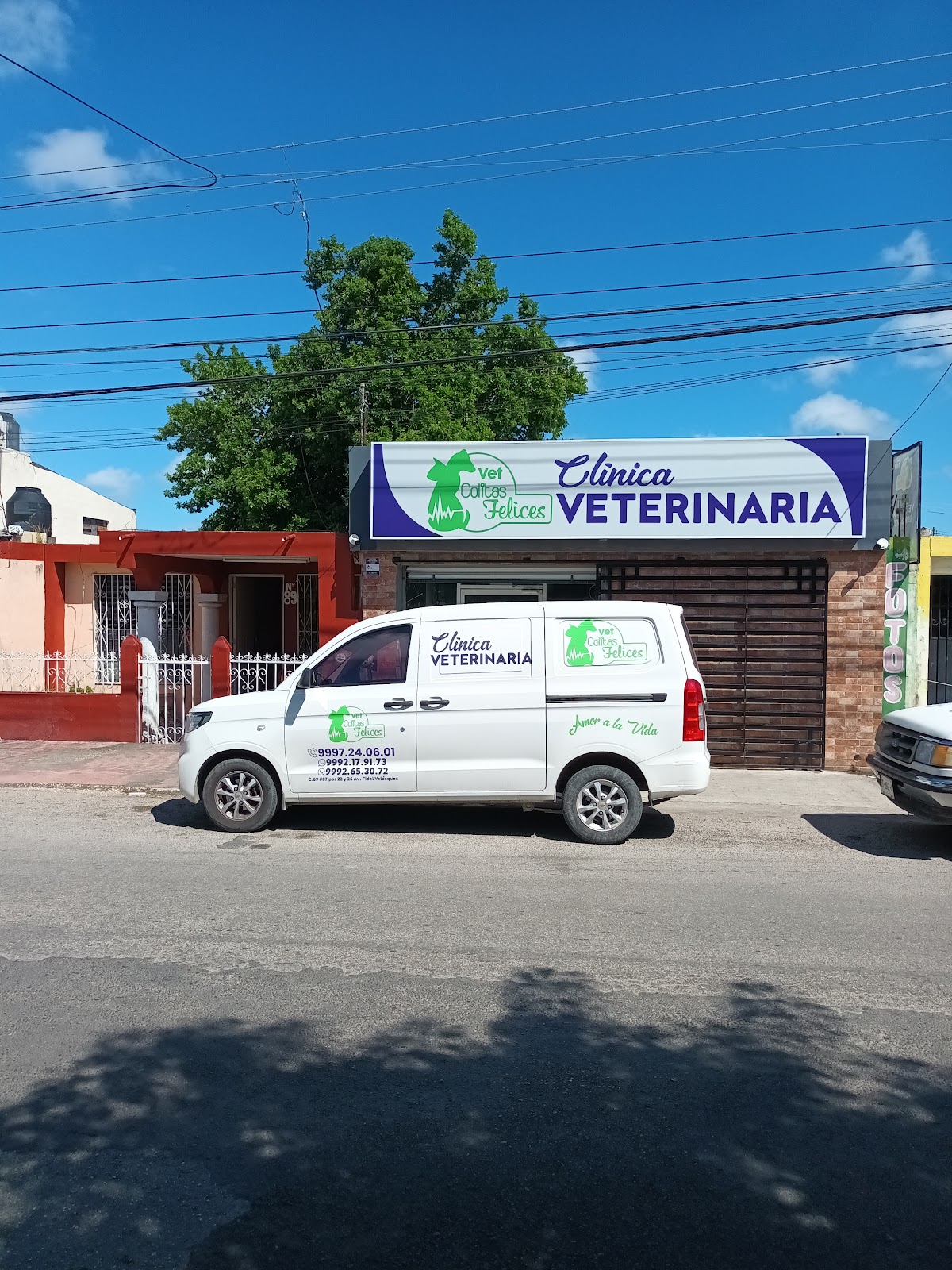 Veterinaria Vet Colitas Felices — foto 3