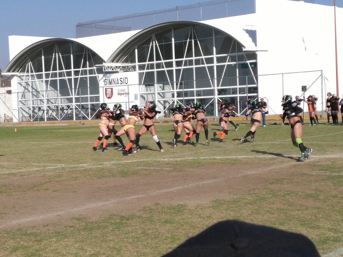 Deportivo Tlachtli — foto 4