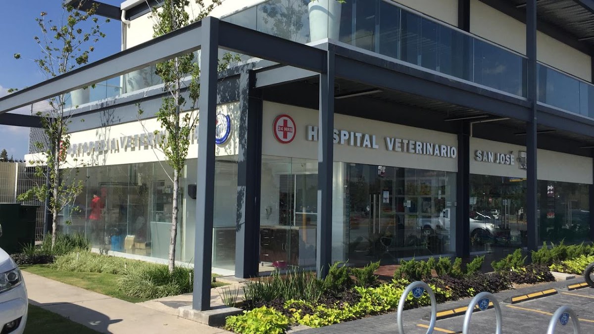 Hospital Veterinario San José Valle Imperial