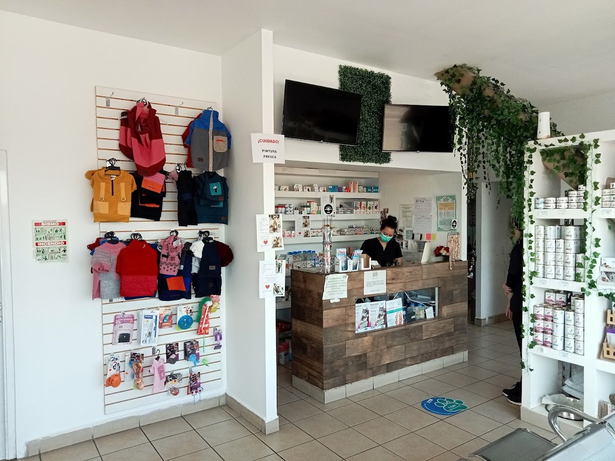 Hospital Veterinario San José Valle Imperial — foto 3
