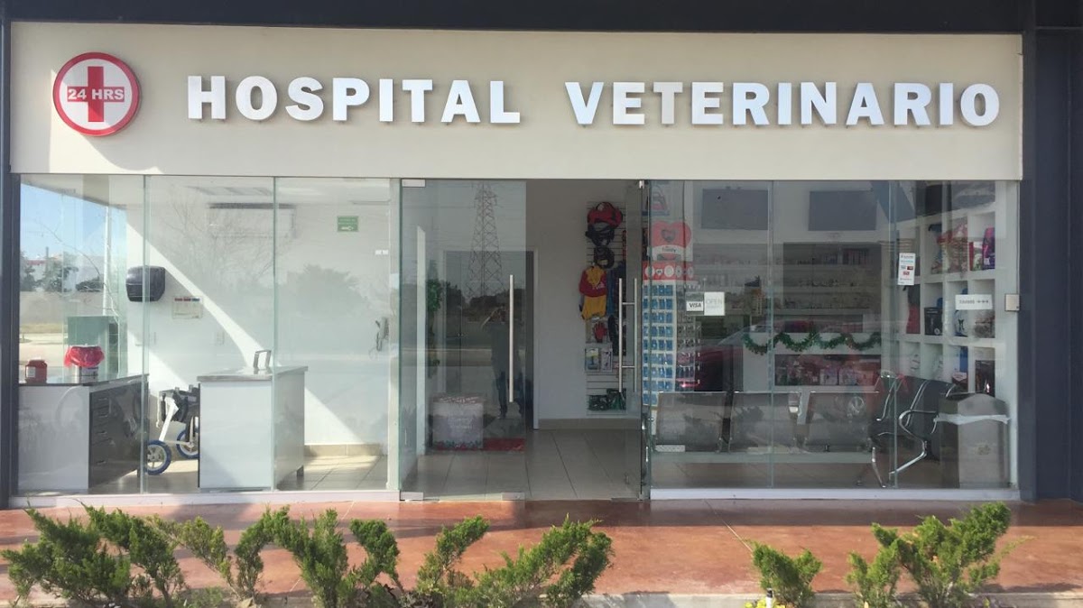 Hospital Veterinario San José Valle Imperial — foto 4