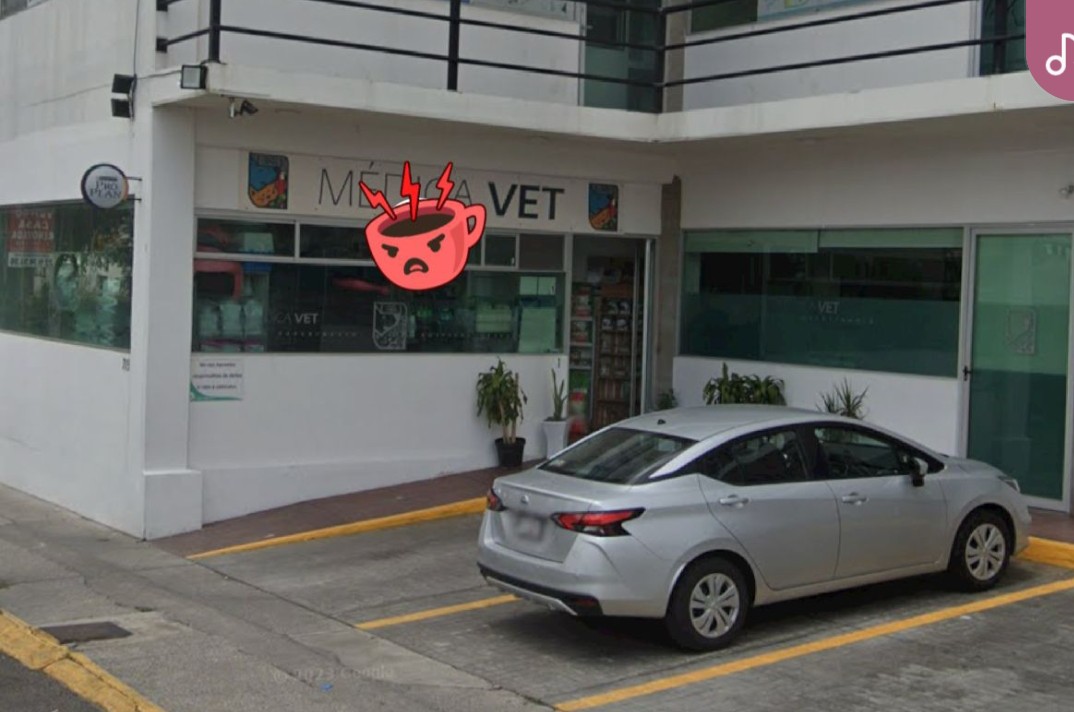 Médica Vet, Otras zonas