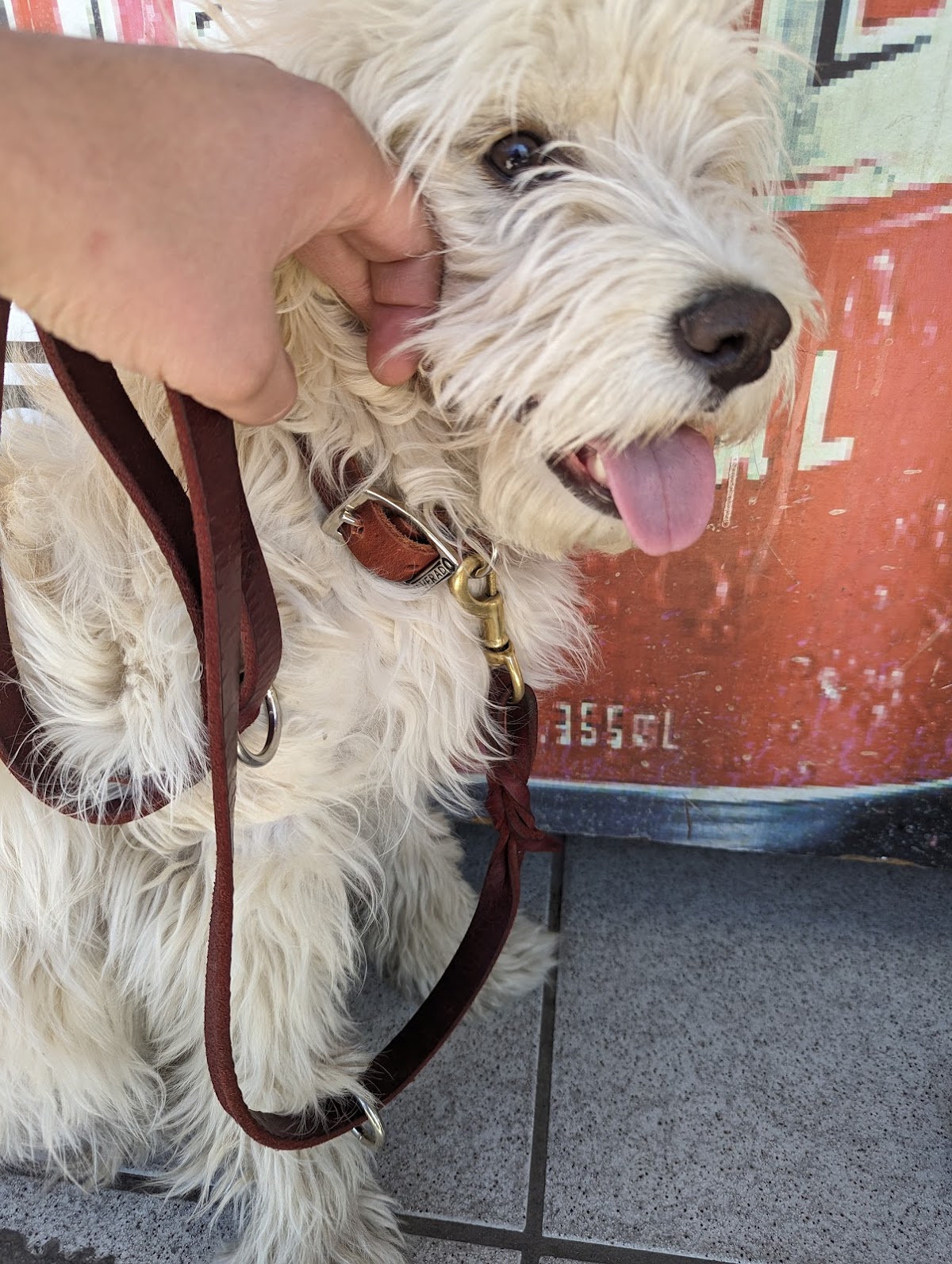 Clínica y Estética Veterinaria Perrito Fernández — foto 3