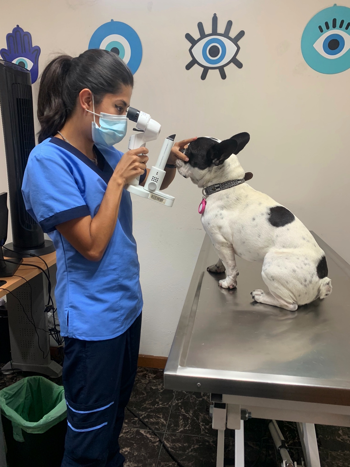 Hospital de Oftalmología Veterinaria EyeCare Condesa — foto 2