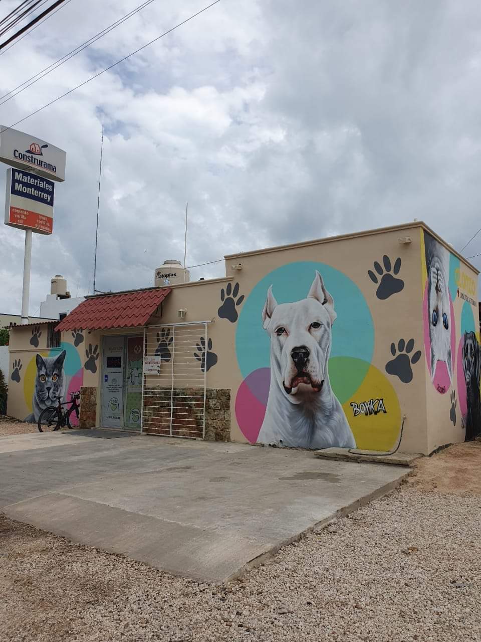 Alonzo Consultorio Veterinario