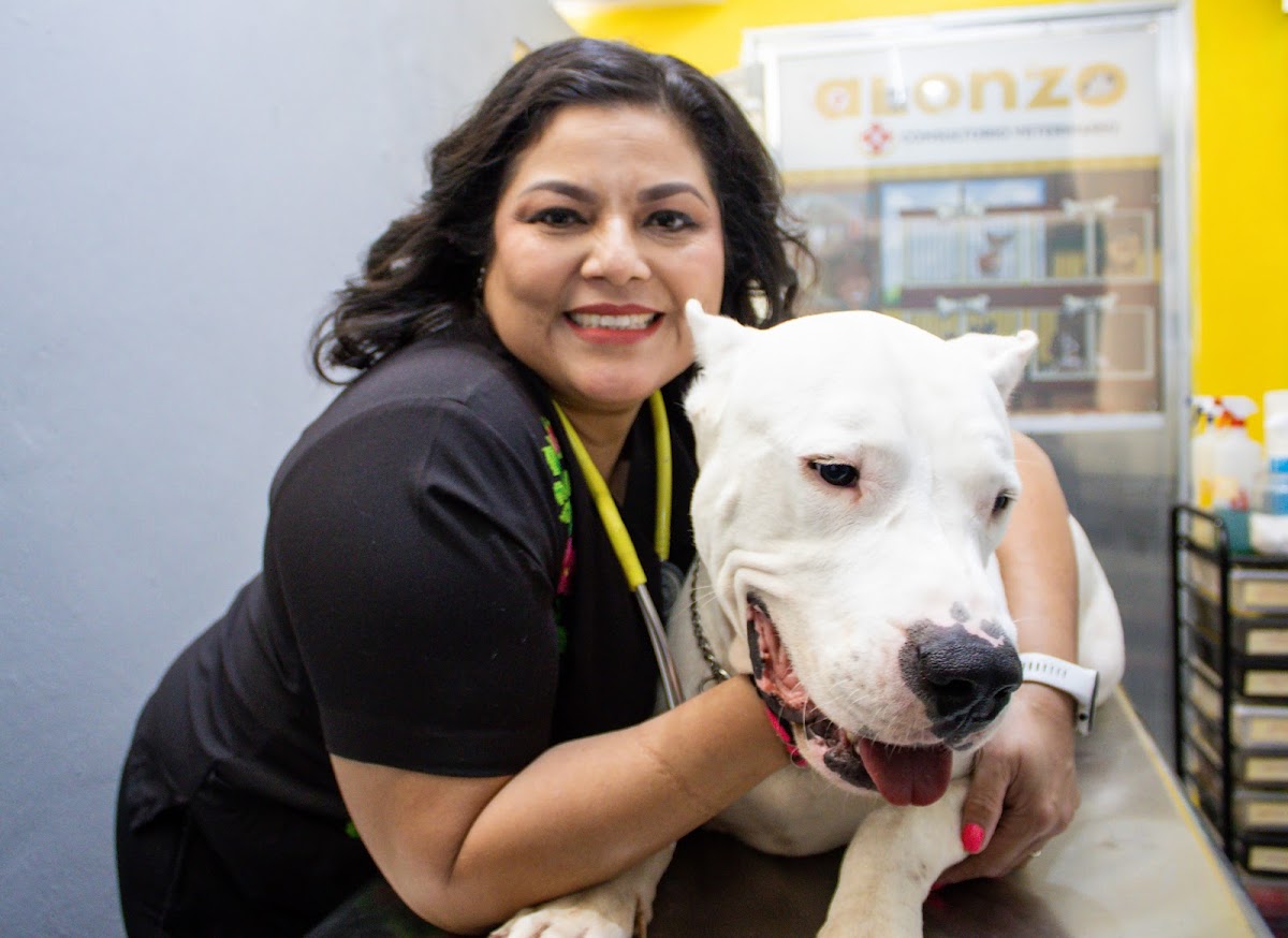 Alonzo Consultorio Veterinario — foto 3