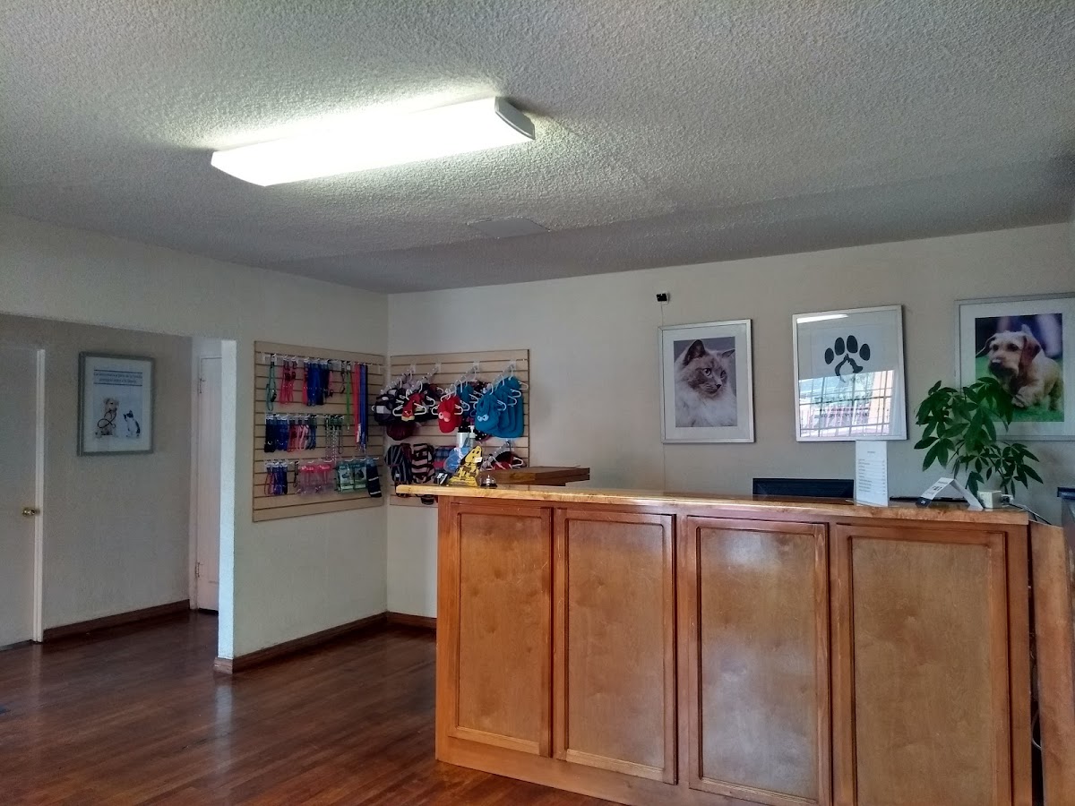Hospital Veterinario Petmed — foto 4