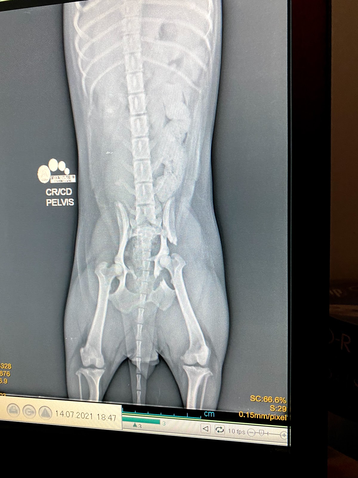 Hospital Veterinario Unión La colina — foto 2