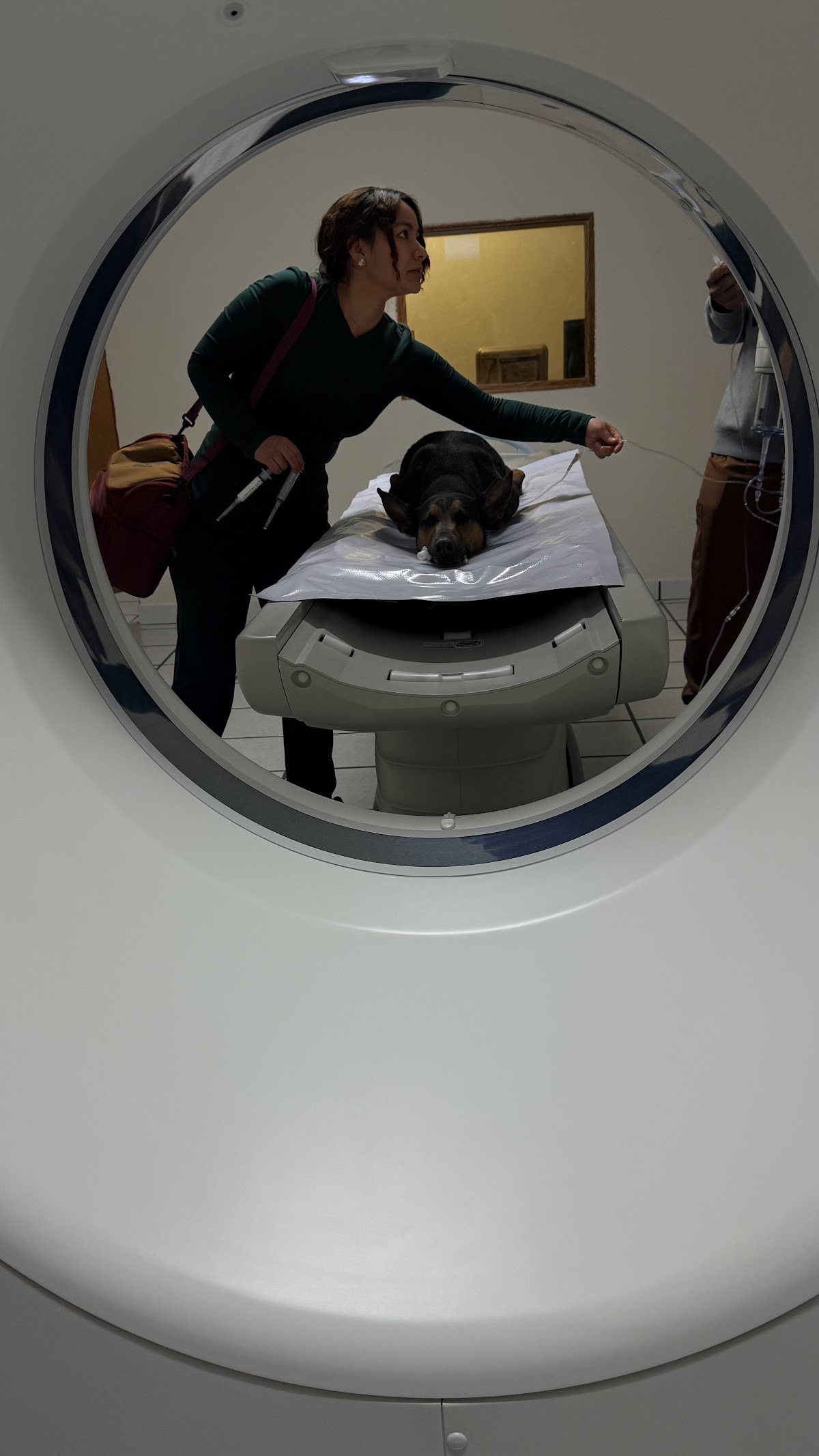 Hospital Veterinario Unión La colina — foto 3