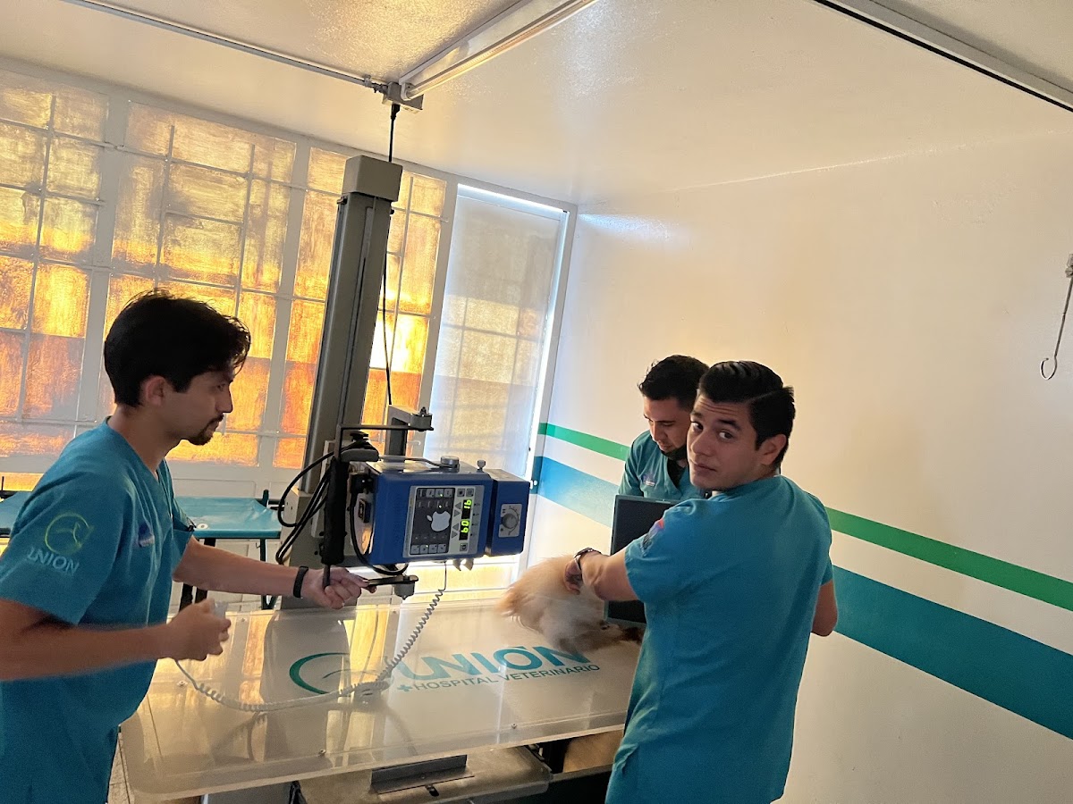 Hospital Veterinario Unión La colina — foto 4