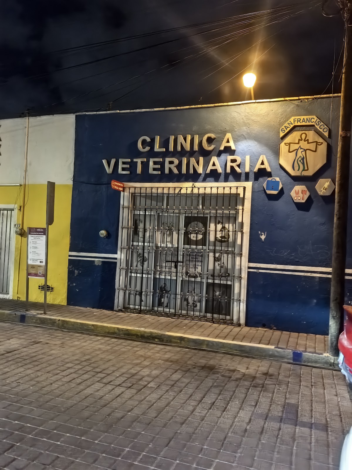 Clinica Veterinaria San Francisco — foto 2