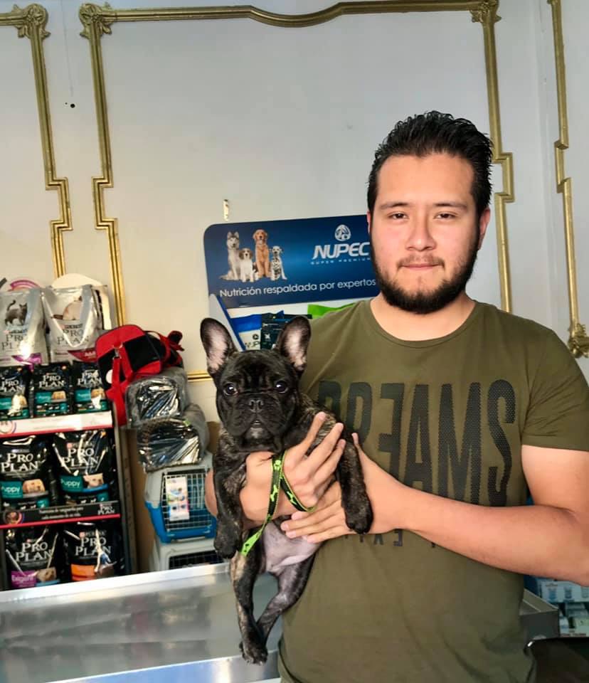 Clinica Veterinaria San Francisco — foto 4