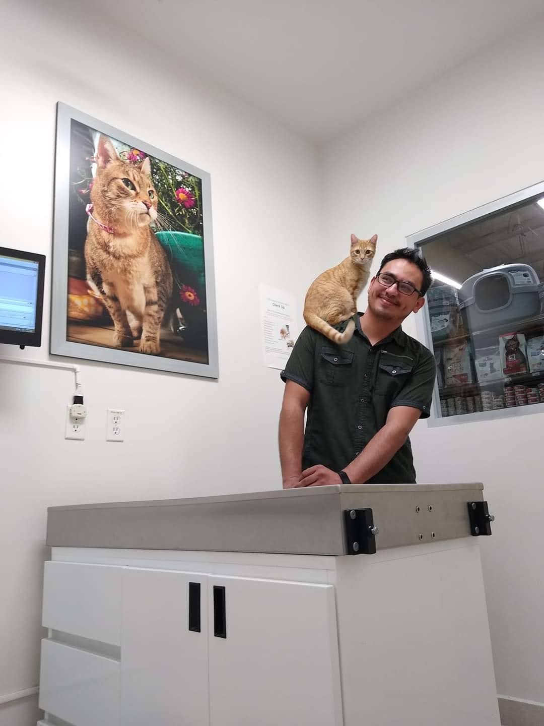 Dr. Pet