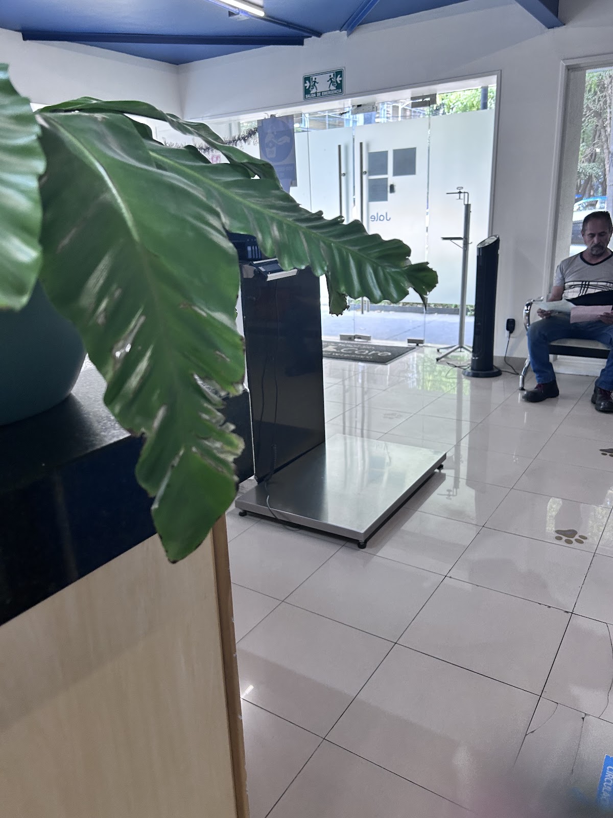 Oncología Veterinaria OncoCare Polanco — foto 4