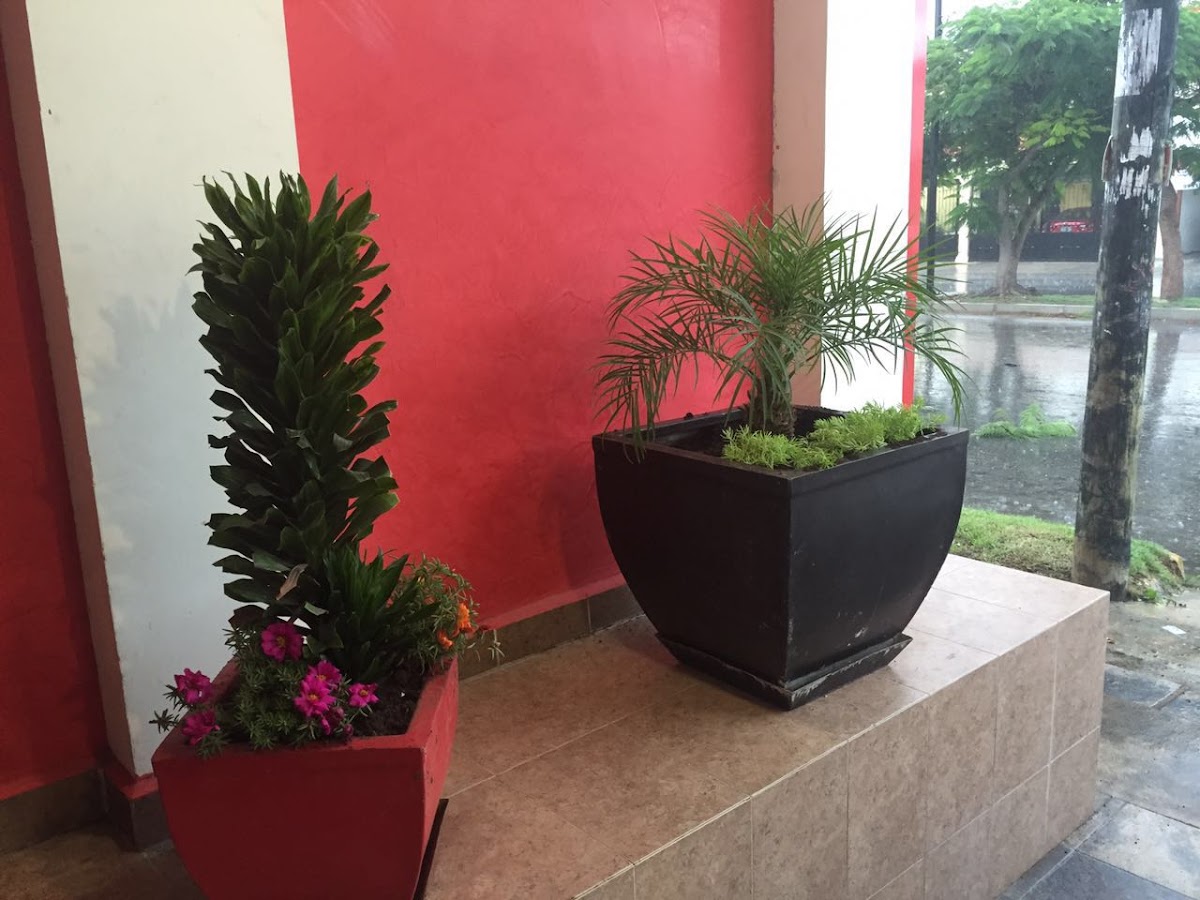 CEDIMMONT Francisco de Montejo — foto 4