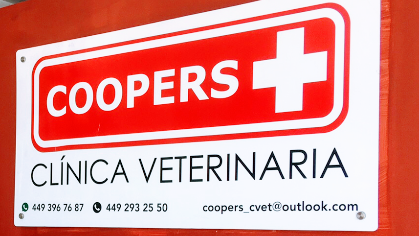 COOPERS CLÍNICA QUIRÚRGICA VETERINARIA