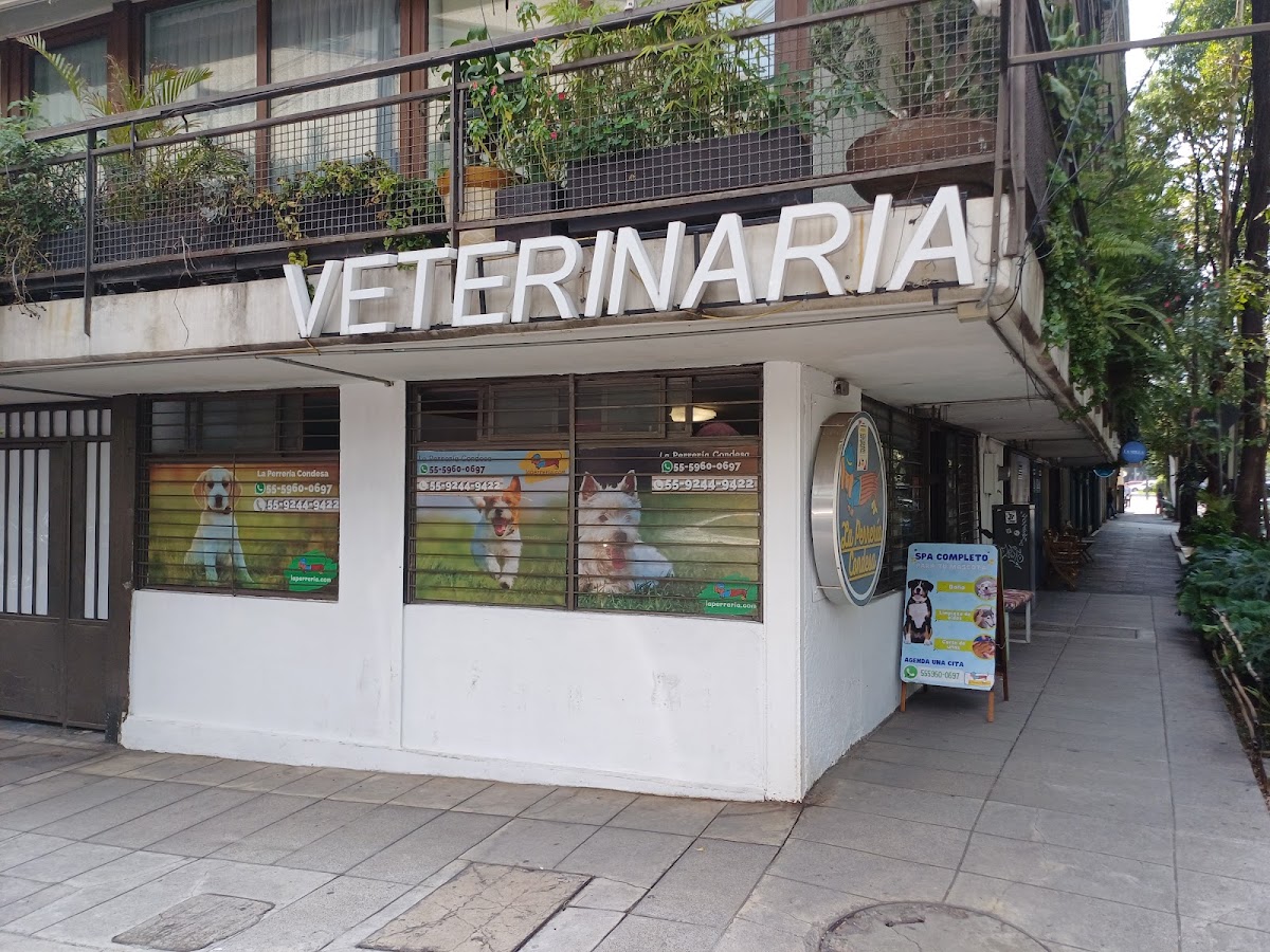 Cardiología Veterinaria Condesa
