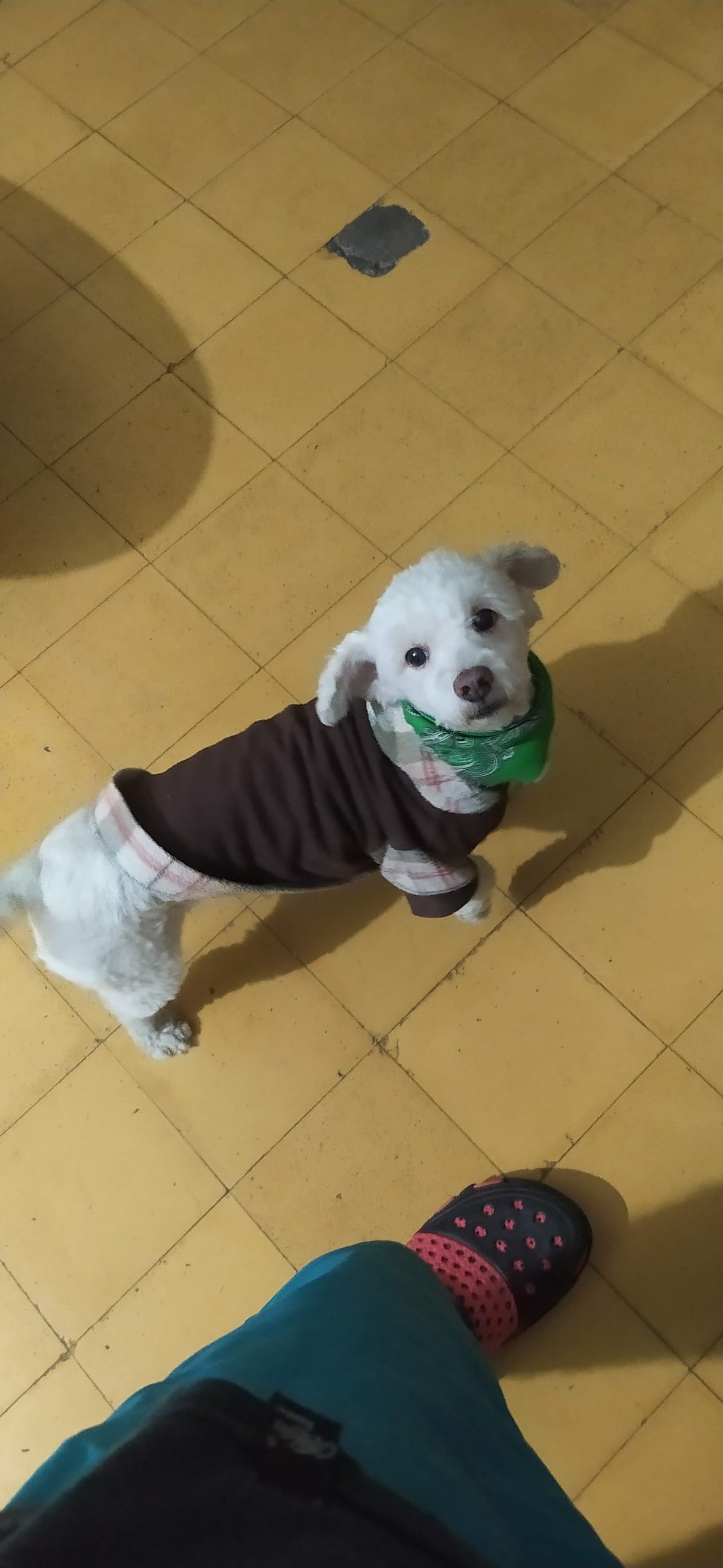 Centro Veterinario Mora — foto 3