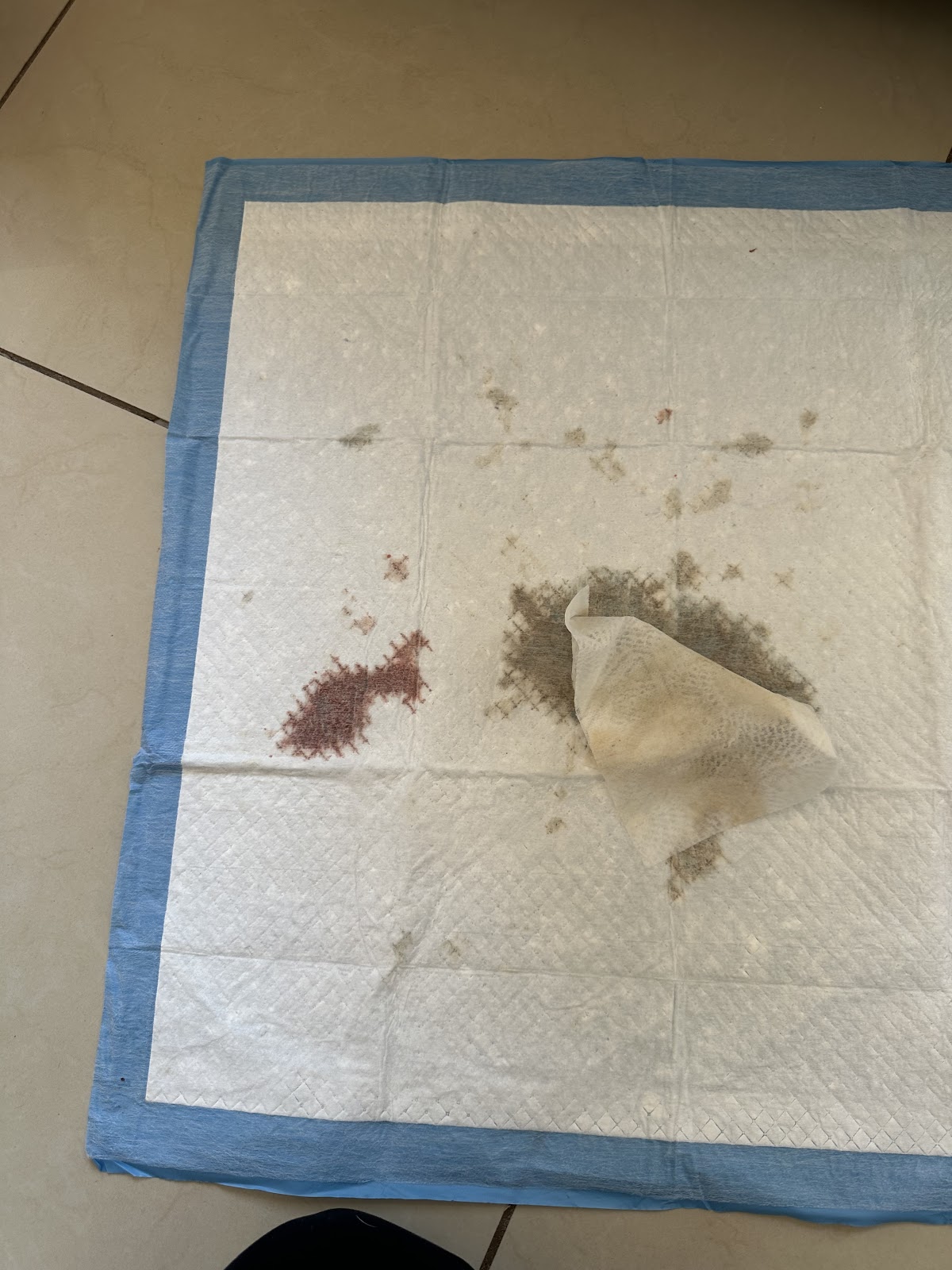 Animal Health — foto 4