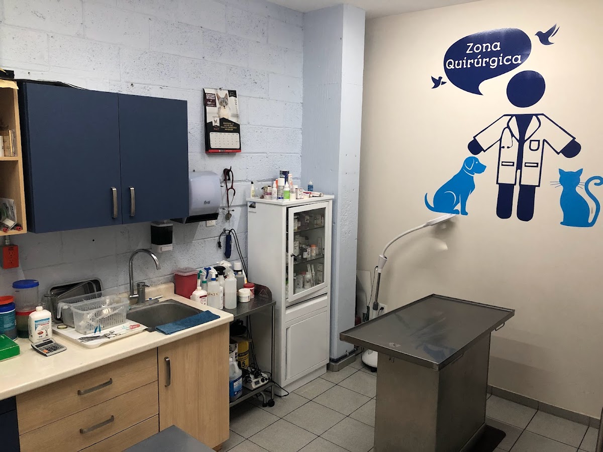 Centro Veterinario Gómez — foto 2