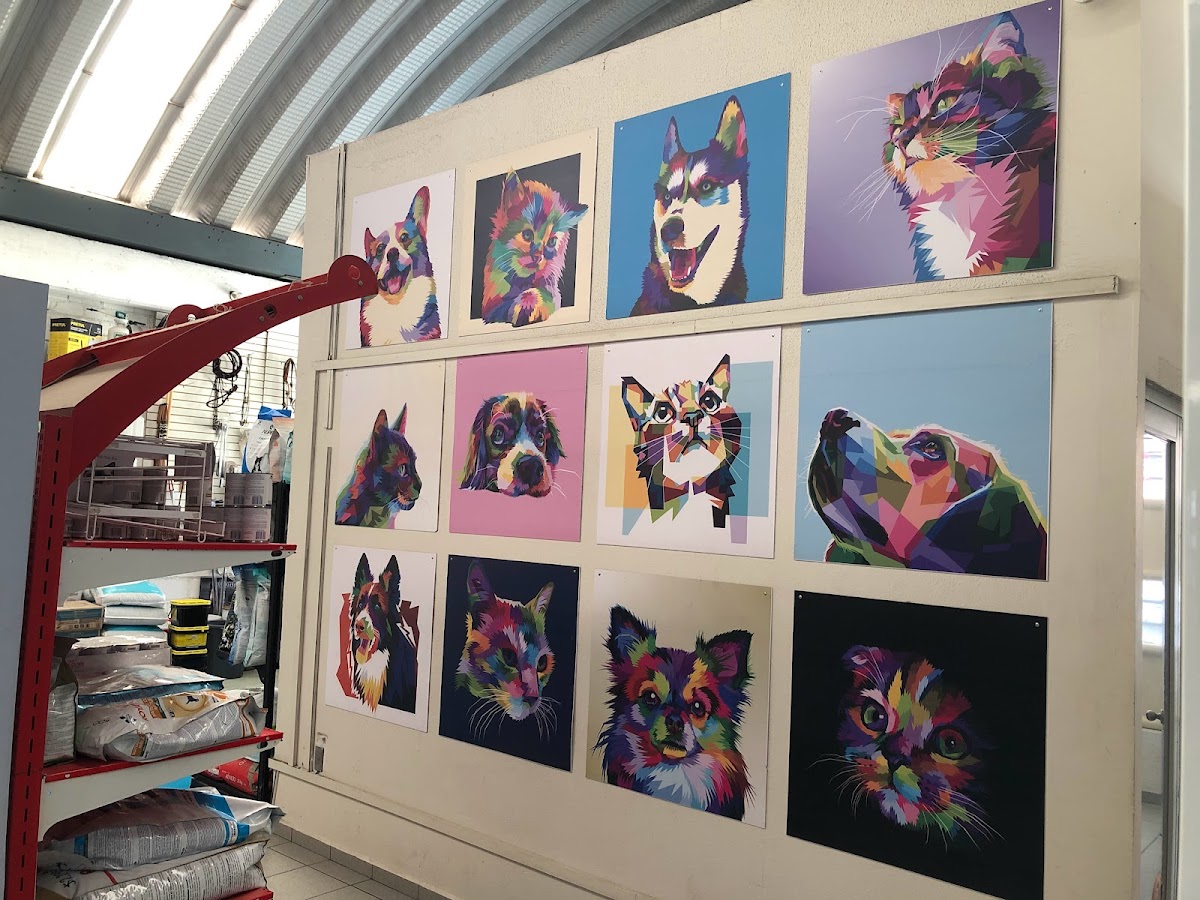 Centro Veterinario Gómez — foto 3