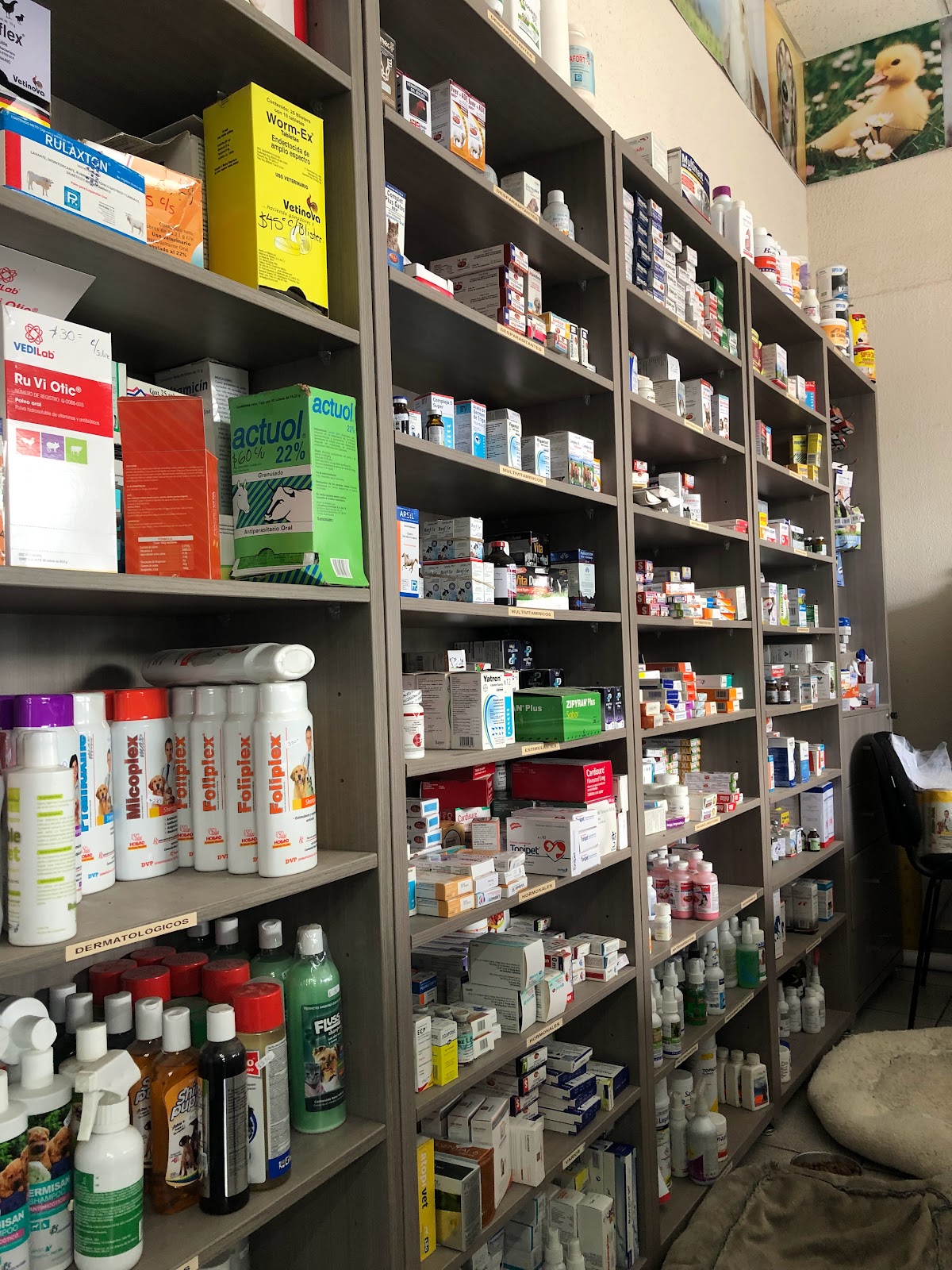Centro Veterinario Gómez — foto 4
