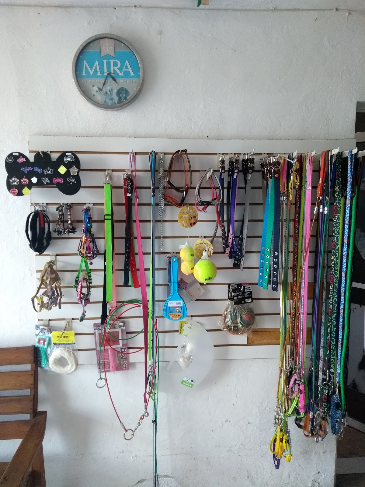 CLINICA VETERINARIA DEL PONIENTE — foto 2