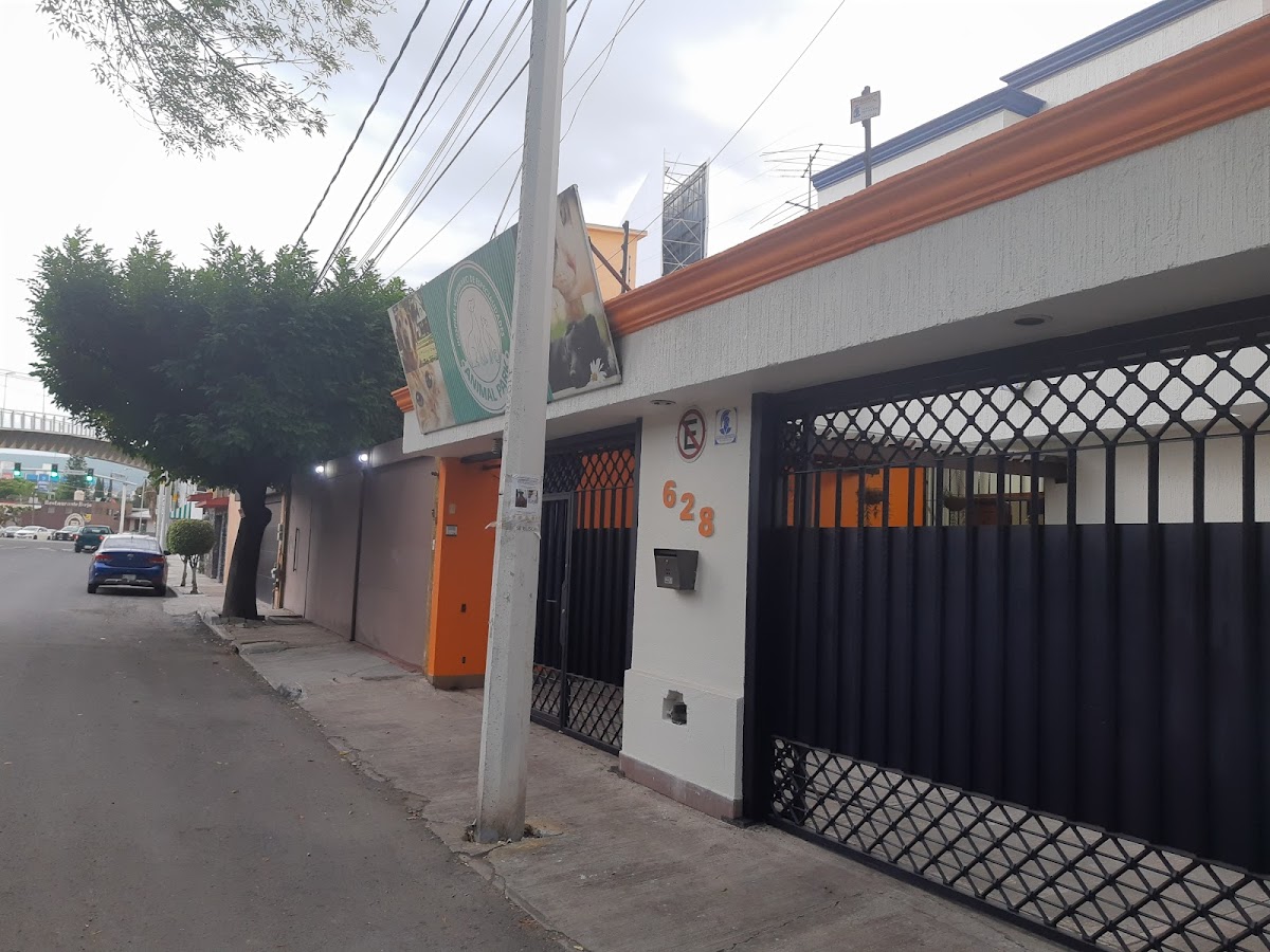 Animal Park hospital veterinario — foto 3