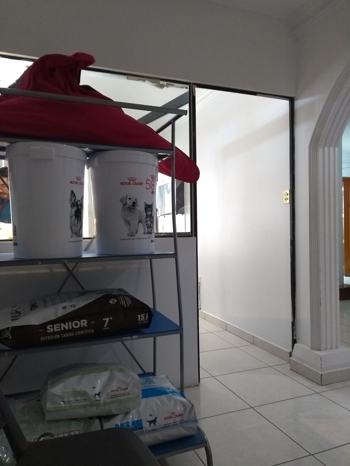 Animal Park hospital veterinario — foto 4