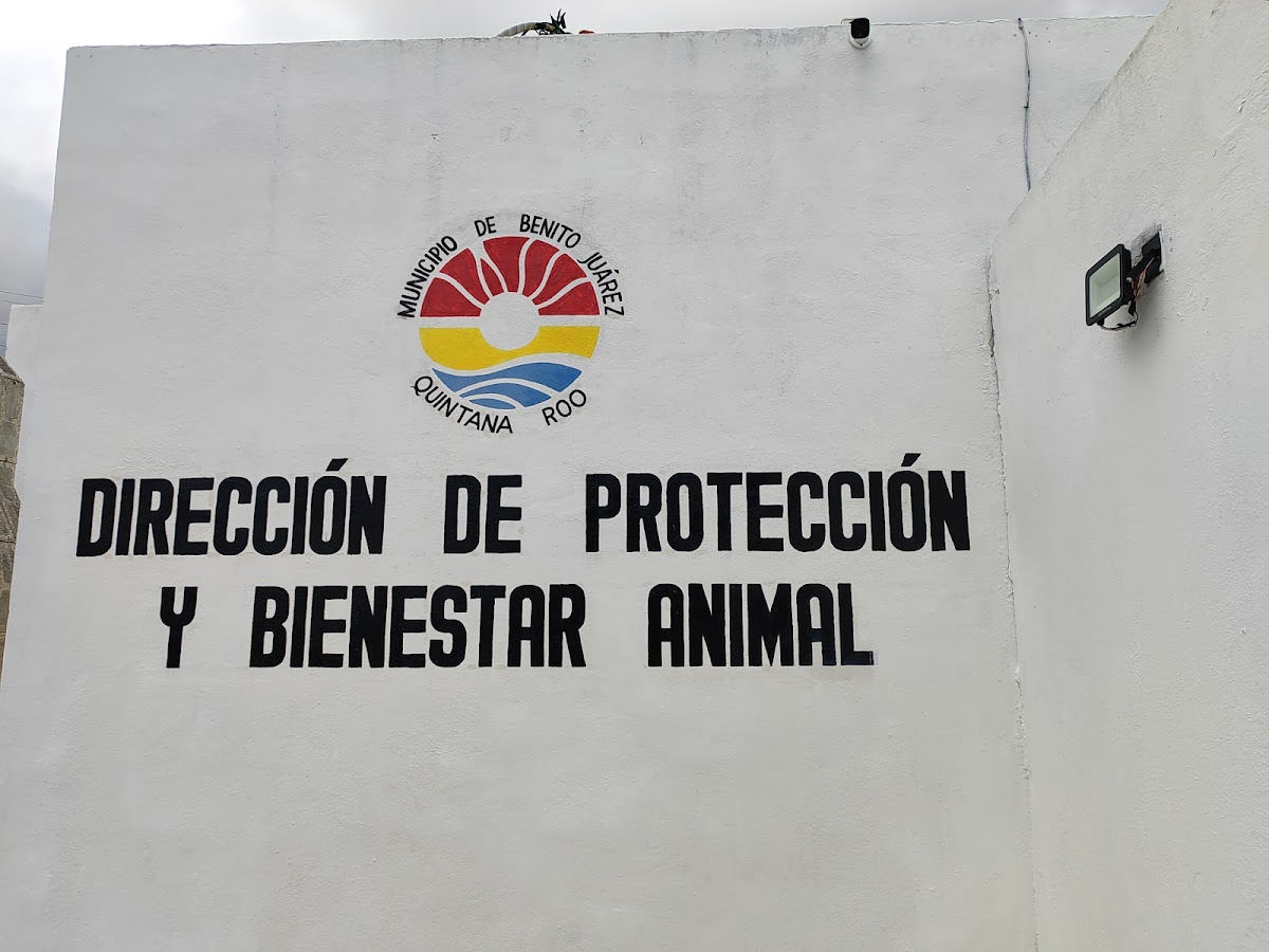CENTRO DE ATENCIÓN ANIMAL — foto 4