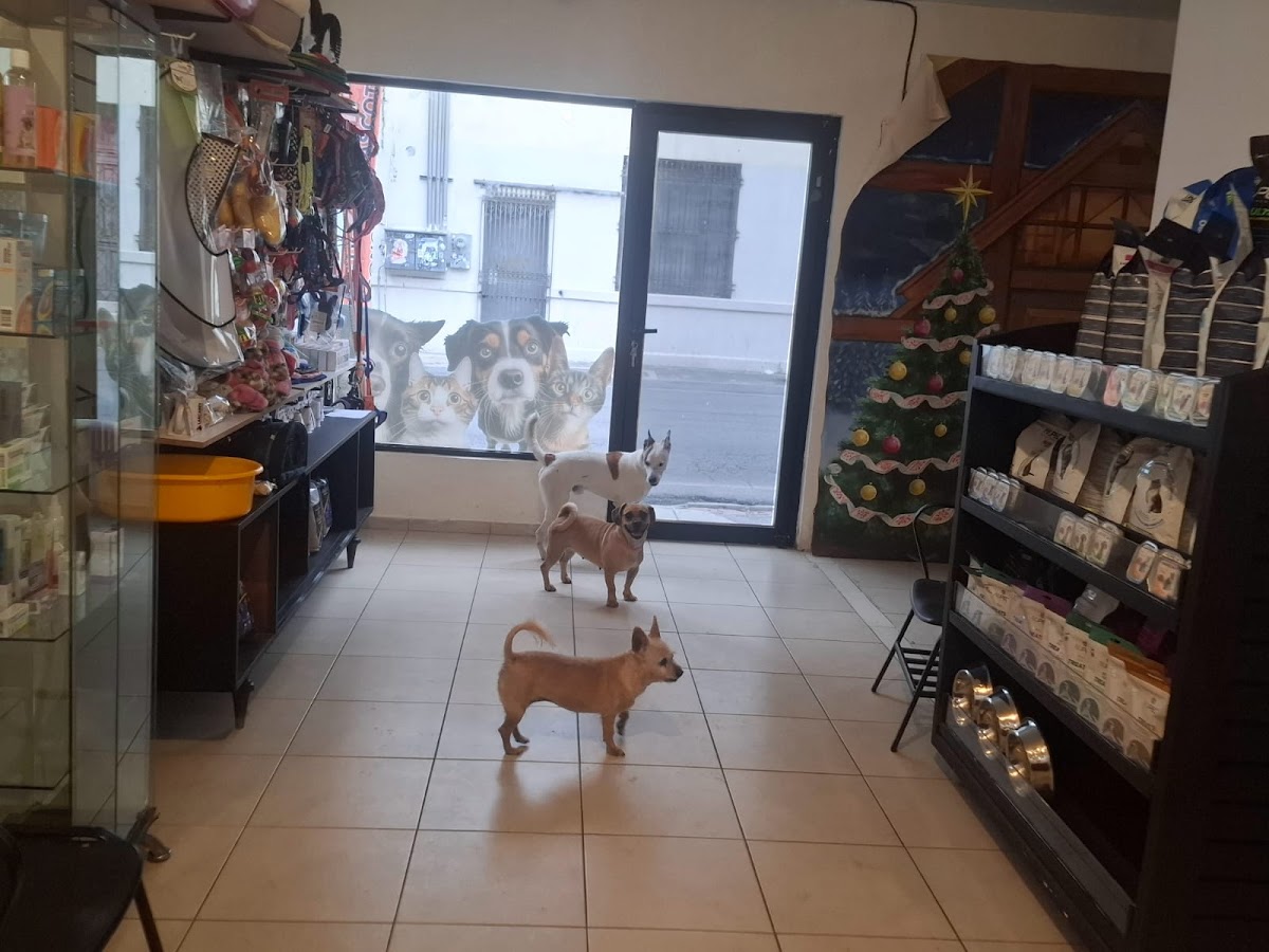 LASCAREY ( Hotel y Clínica Veterinaria ) — foto 3