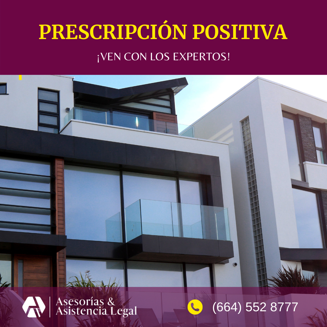 Asesorías y Asistencia Legal DG — foto 3
