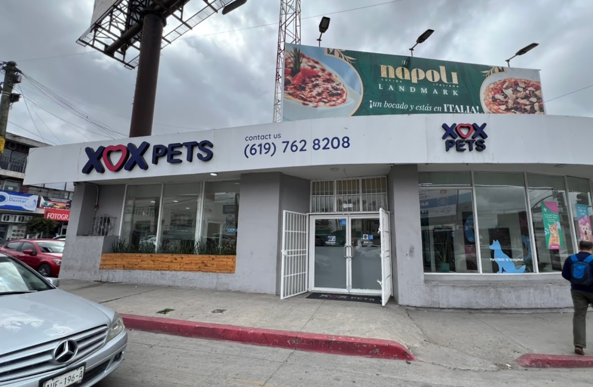 XOX Pets