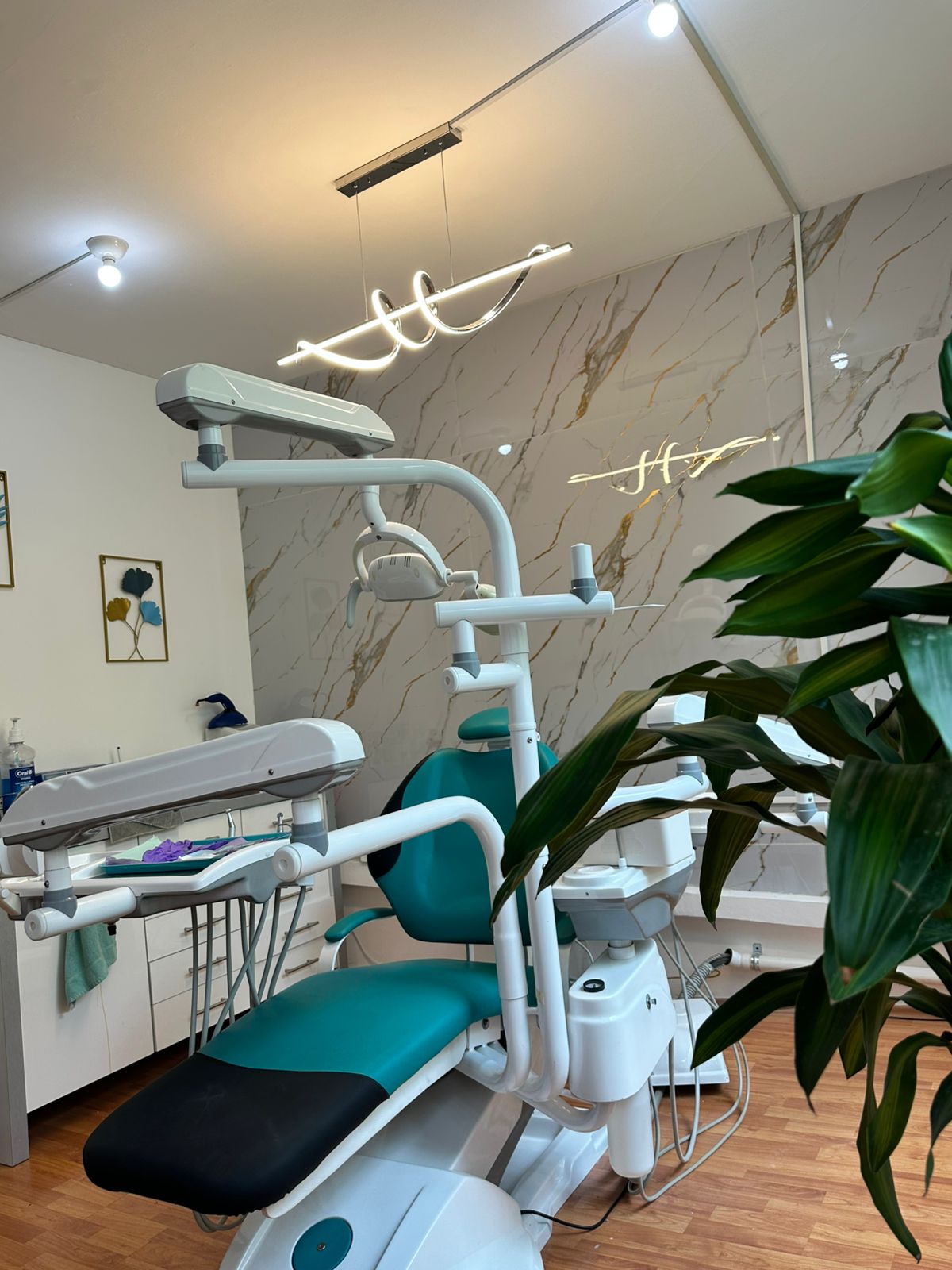 OrthoDenti by Dra Denisse M — foto 4