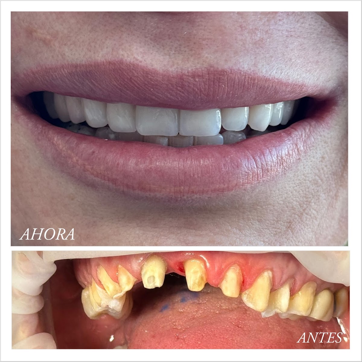 Dra. Mónica Alonso - Odontología Estética Avanzada — foto 2