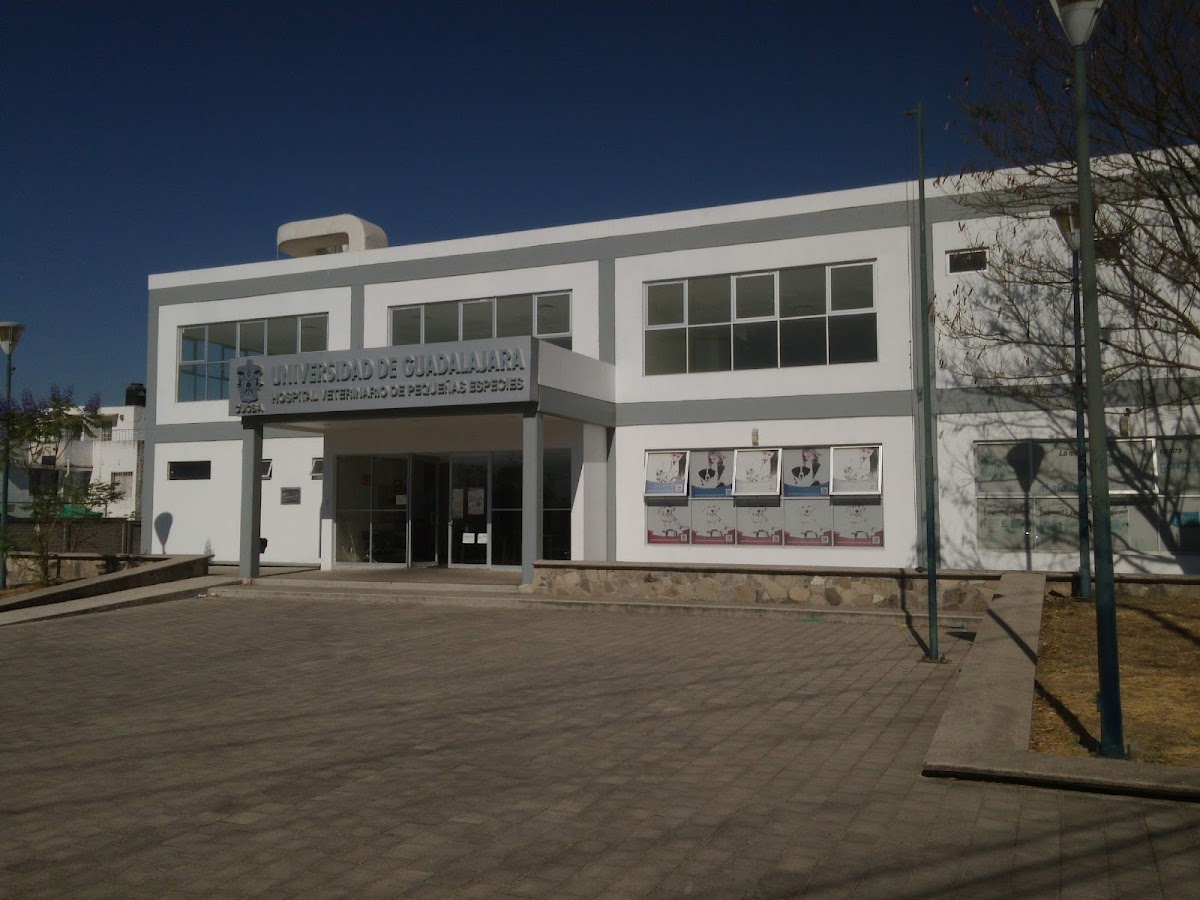 Hospital Veterinario de Pequeñas Especies — foto 2