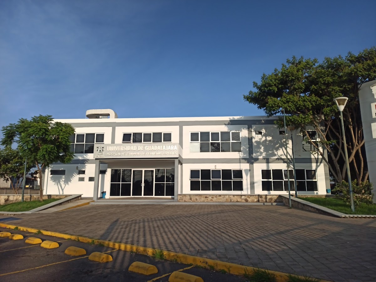 Hospital Veterinario de Pequeñas Especies — foto 4