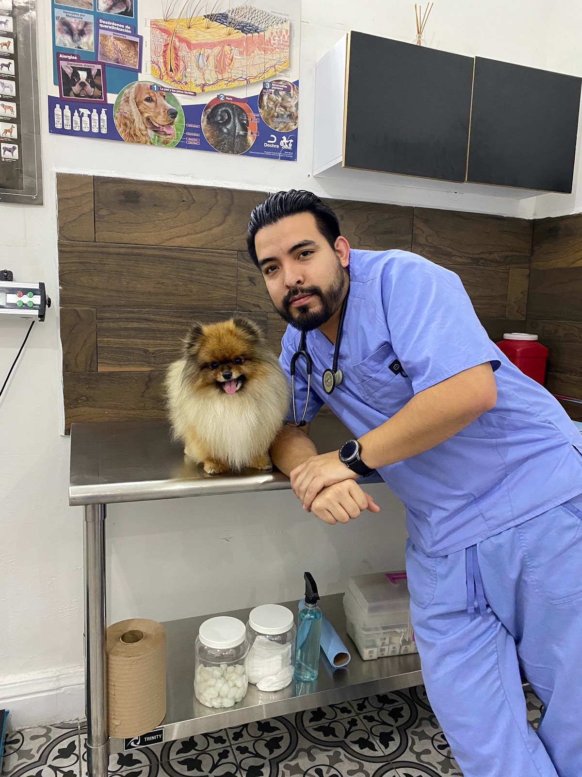 Veterinaria Rolitox — foto 2