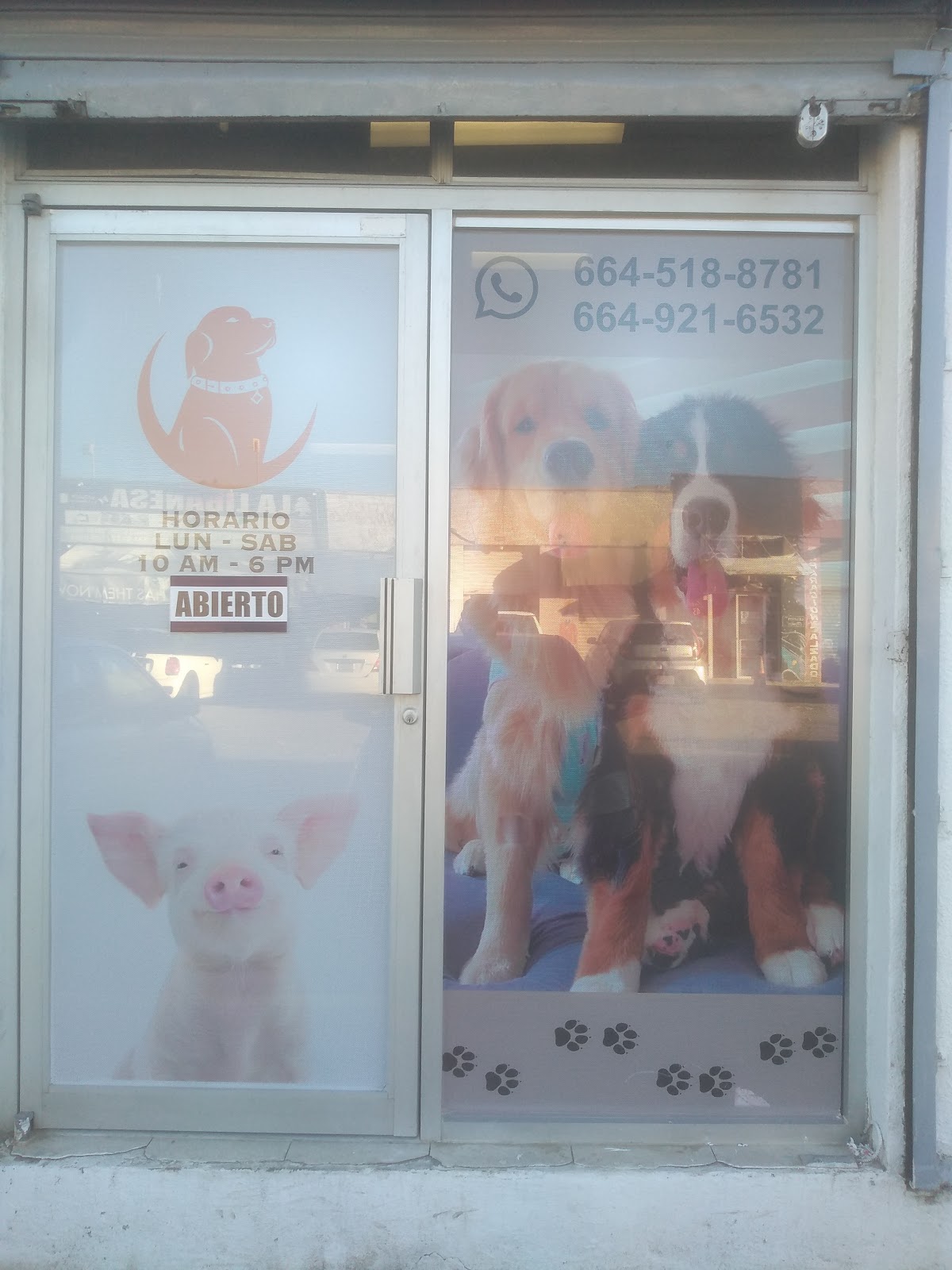 Veterinaria The Golden House OTAY