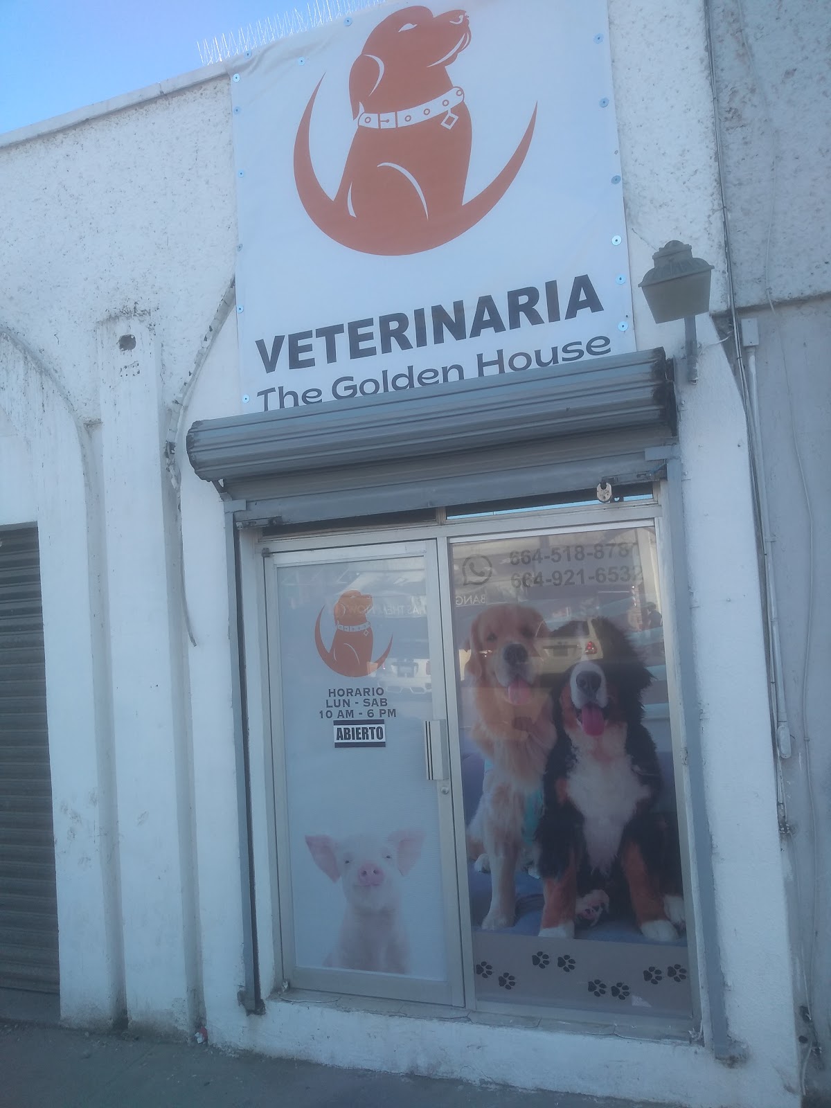 Veterinaria The Golden House OTAY — foto 3