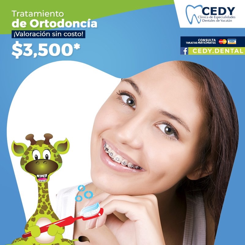 GED: Gracia y Erik Dentistas — foto 4
