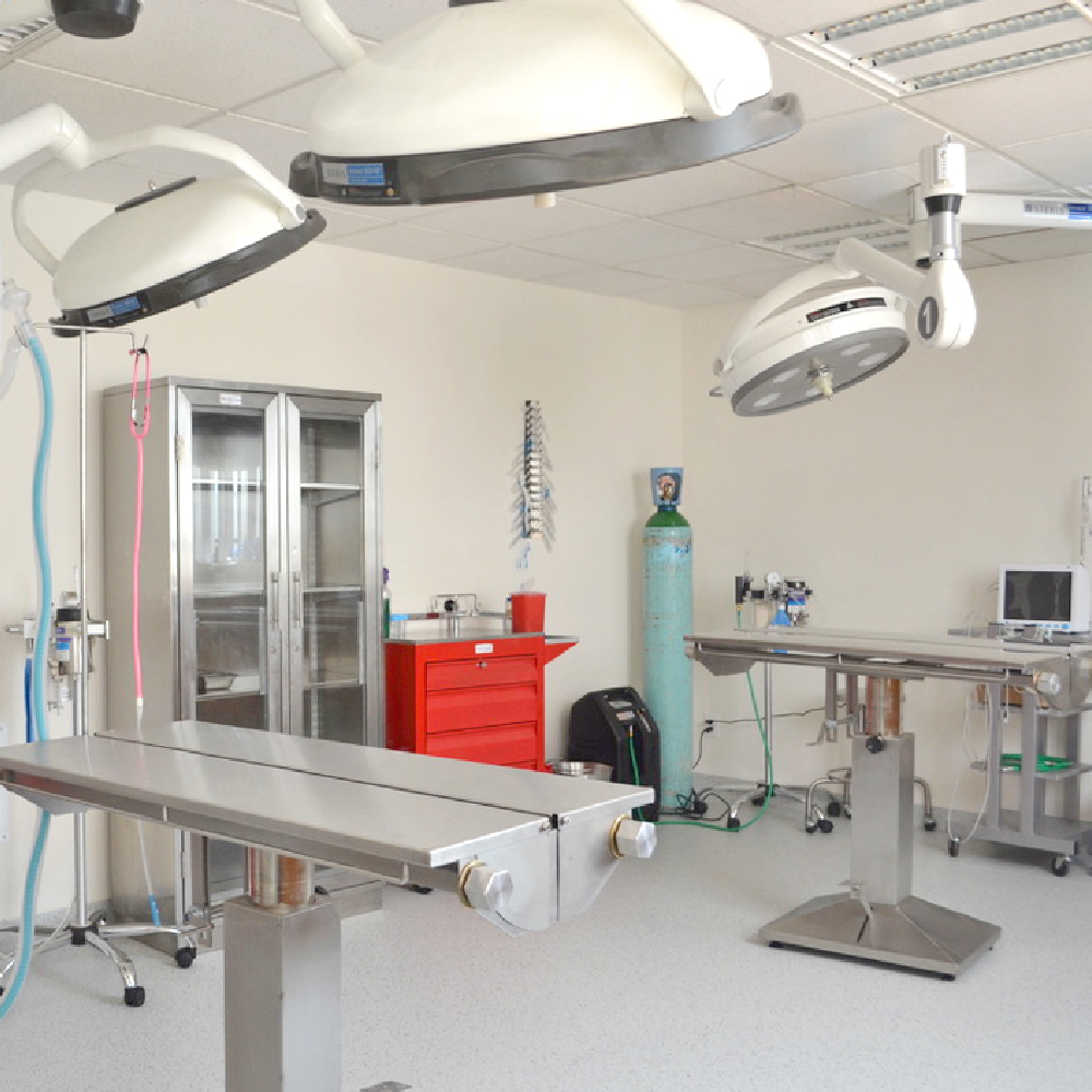 Hospital Veterinario WestCare Polanco — foto 2