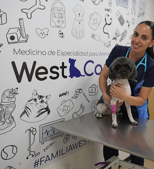 Hospital Veterinario WestCare Polanco — foto 4