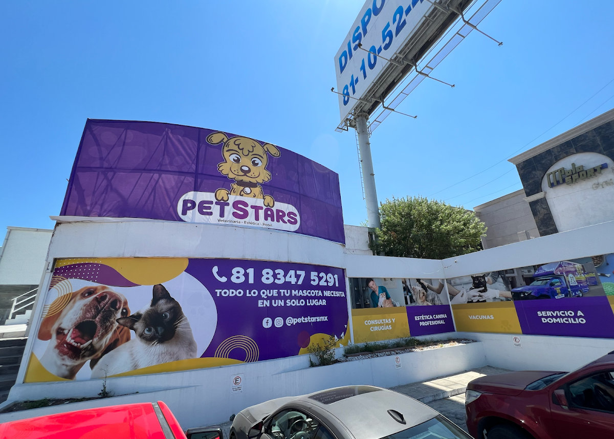 PetStars | Hospital Veterinario en Cumbres | Dermatólogo Veterinario — foto 2