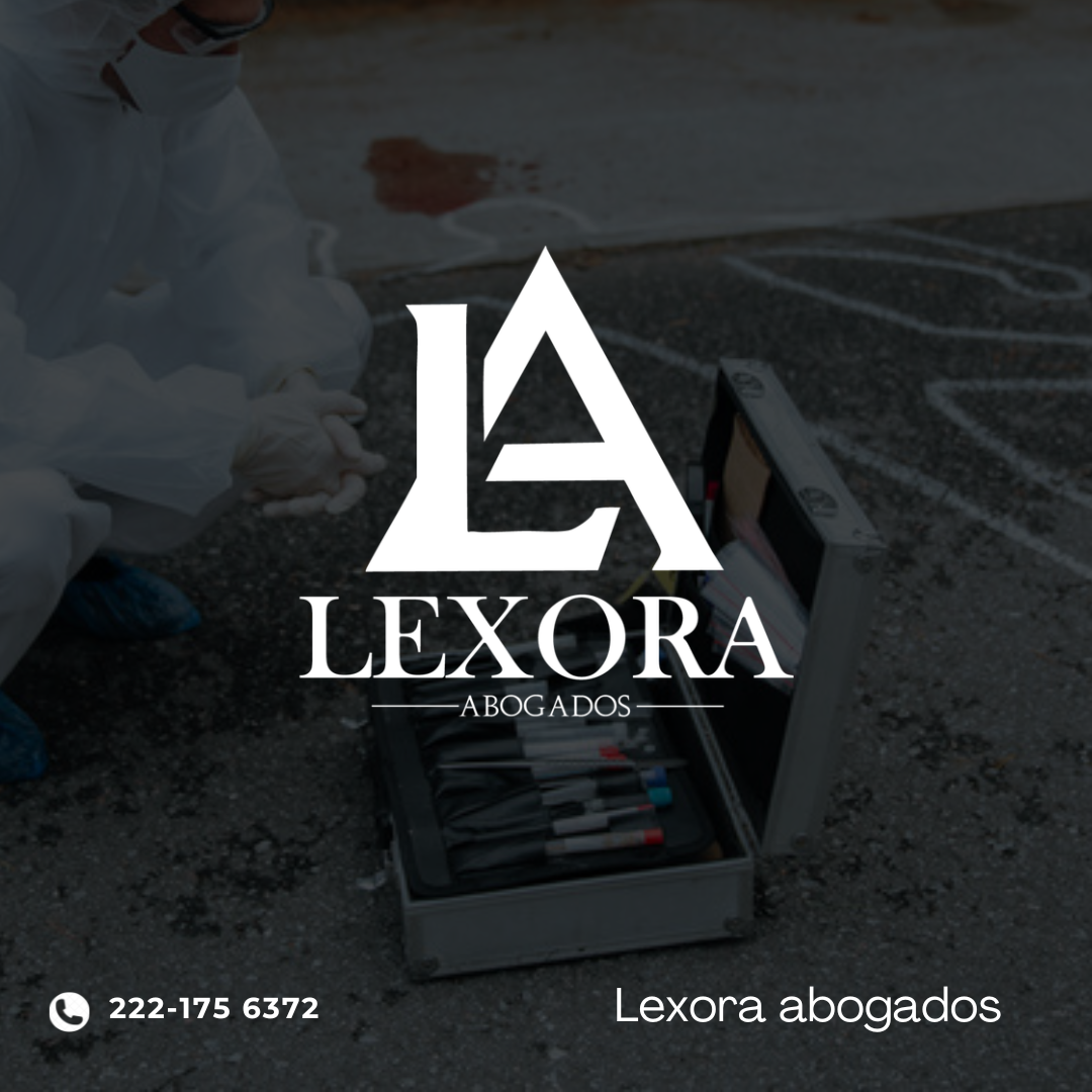 LEXORA ABOGADOS — foto 3