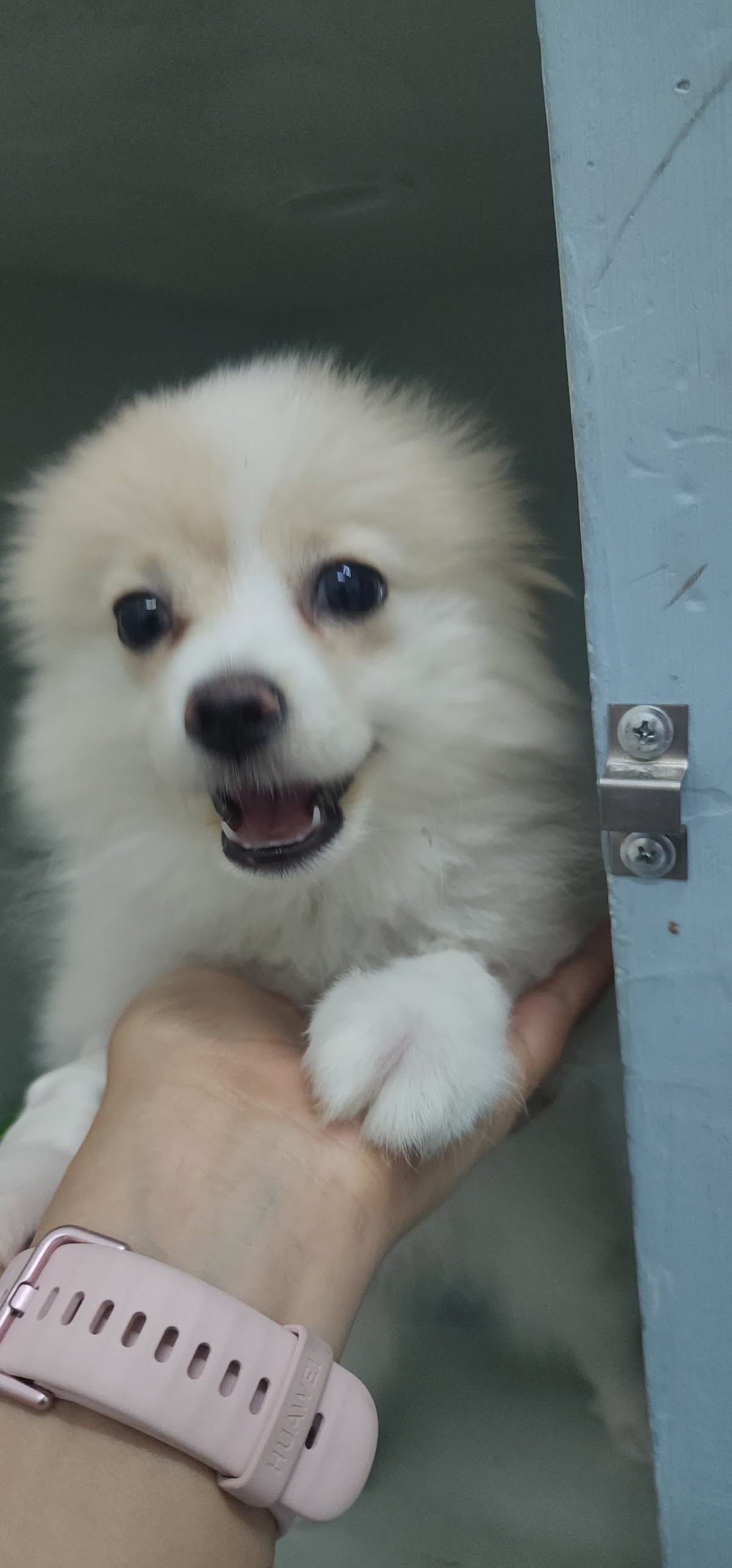 Centro Veterinario Alcalde — foto 3