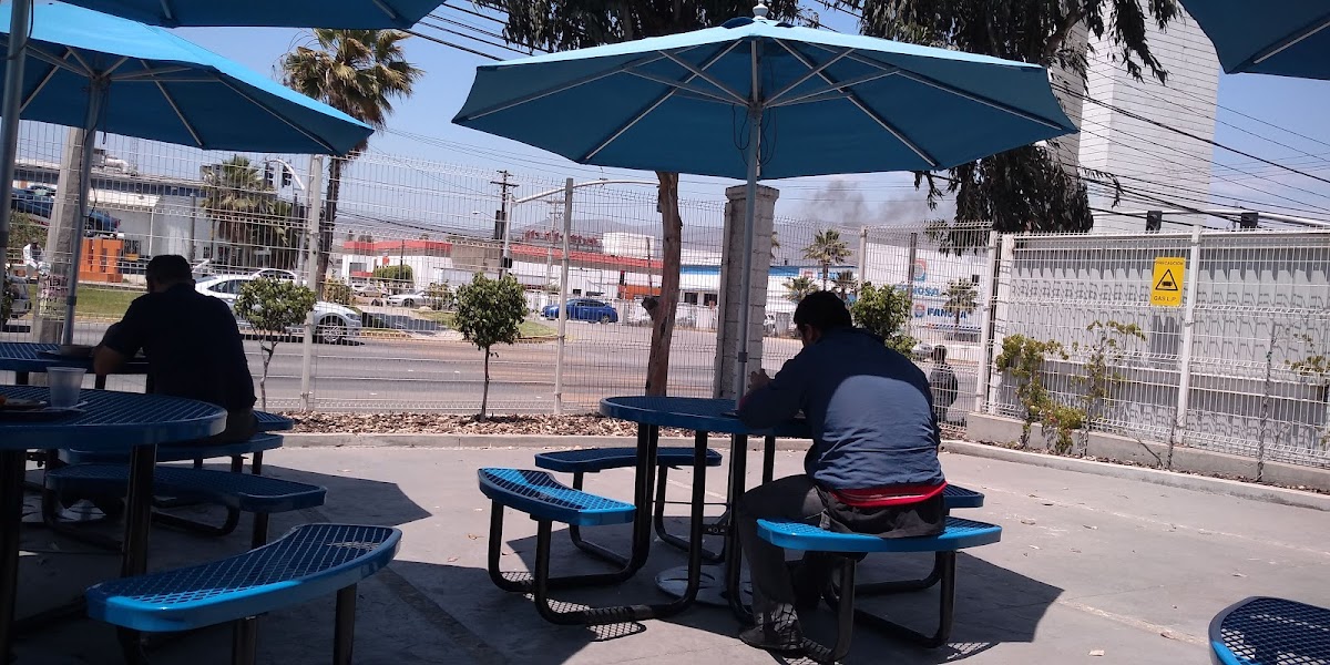 Flex Tijuana — foto 2