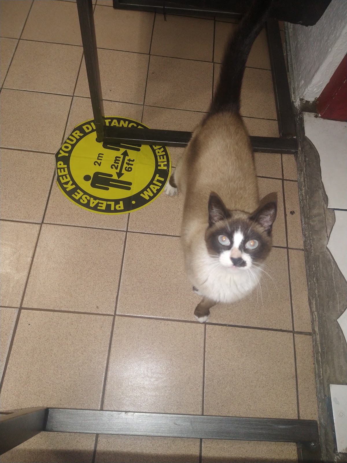 Veterinaria Dr. Gordian — foto 4